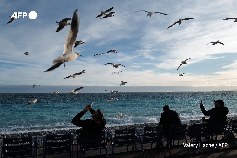 Des mouettes sur la Promenade des Anglais, célèbre avenue du bord de mer à Nice, le 16 février 2021 Valery Hache - AFP 