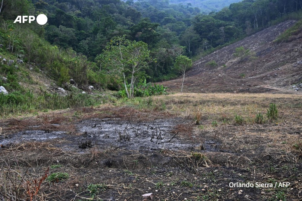 Lac Yojoa à Honduras, le 27 mai 2023 - Orlando SIERRA - AFP