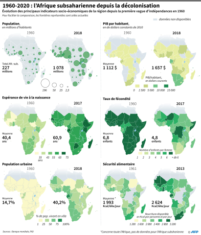 Comparaison des principaux indicateurs socio-économiques des pays d'Afrique subsaharienne entre 1960 et 2019 - Laurence Saubadu, Thomas Saint-Cricq / AFP