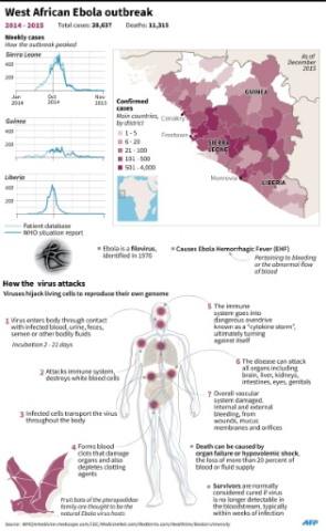 Factfile on the West African Ebola outbreak - Adrian Leung, John Saeki - AFP