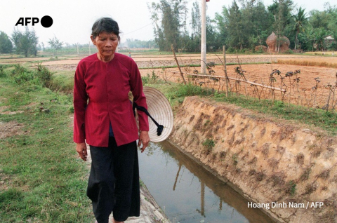 Ha Thi Quy, 73, a My Lai massacre survivor, on March 13, 1998. - AFP