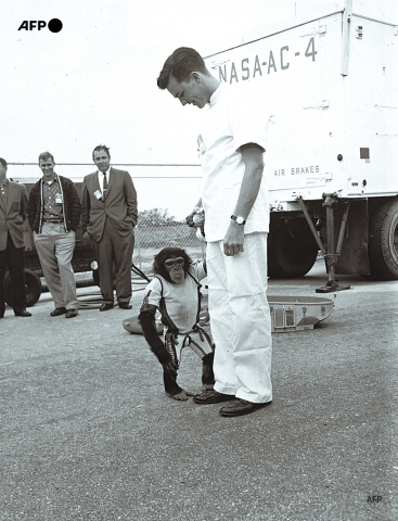 L'astronaute Alan Shepard photographié avec le chimpanzé Ham qui l'avait précédé dans l'espace en janvier 1961 - AFP