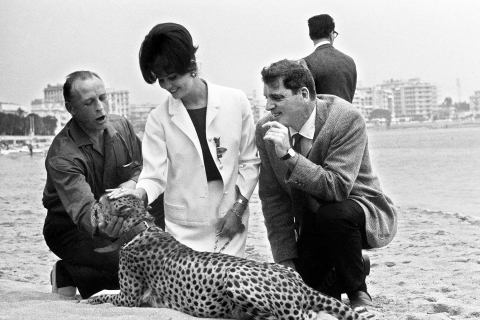 Claudia Cardinale et Burt Lancaster posent sur la plage de Cannes avec un guépard en mai 1963 - AFP