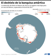 Extensión de la banquisa antártica medida en enero de 2023 y anomalías respecto a la media de enero entre 1991-2020.
