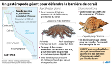 Carte de la barrière de corail et fiches sur l'étoile de mer prédatrice des coraux et le gastéropode prédateur de l'étoile de mer.