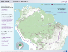 Amazonie : le point de bascule