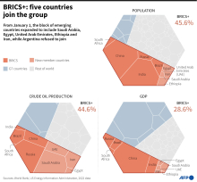 The weight of the BRICS