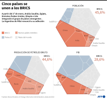 El peso de los BRICS