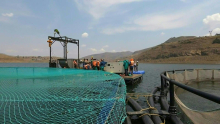 Pêche de truite au Lesotho