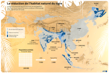 La réduction de l'habitat naturel du tigre 