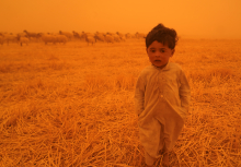 Une tempête de sable qui balaie la province de Najaf en Irak - Qassem al-KAABI / AFP