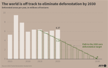 Deforested areas per year, in millions of hectares