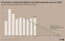 Superficie deforestada anuelmante, en millones de hectáreas